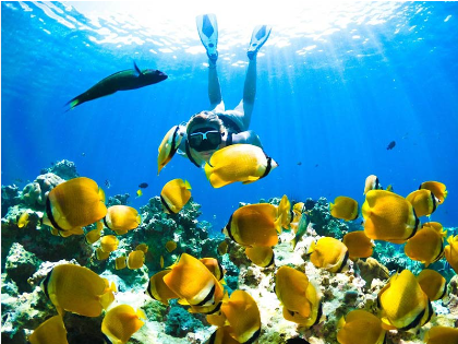 Mnemba & The Rock Tour Main Image